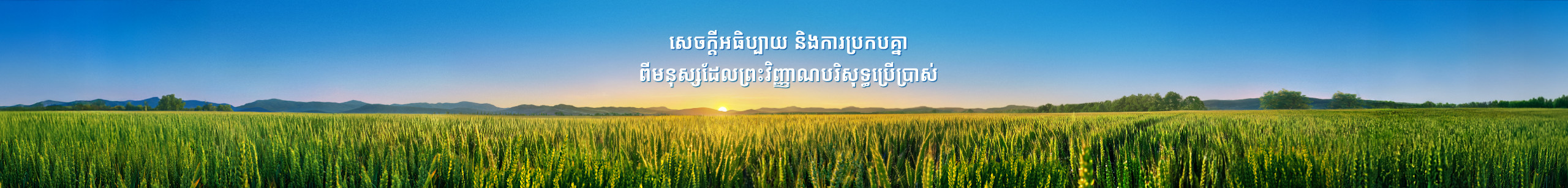 banner图